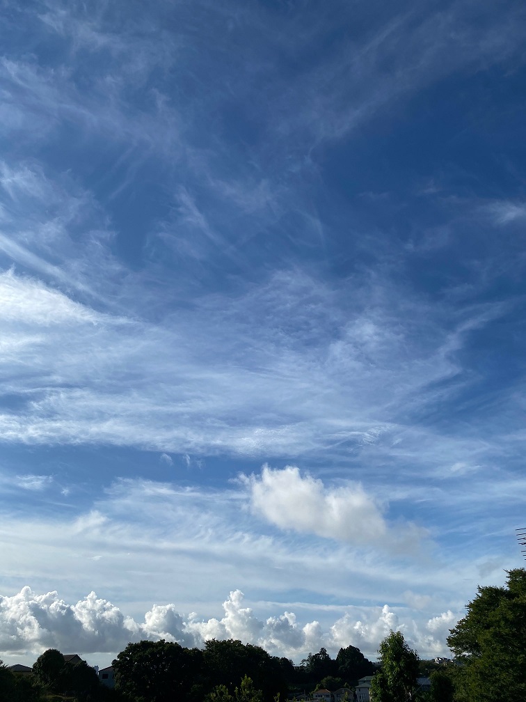 行き合いの空と夕暮れと途方に暮れるフューチャーズ Nsp平賀くんの時々ハンサム日記