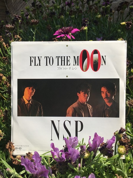 1985年のNSP | NSP平賀くんの時々ハンサム日記